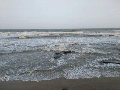 Photo from 8 December 2017