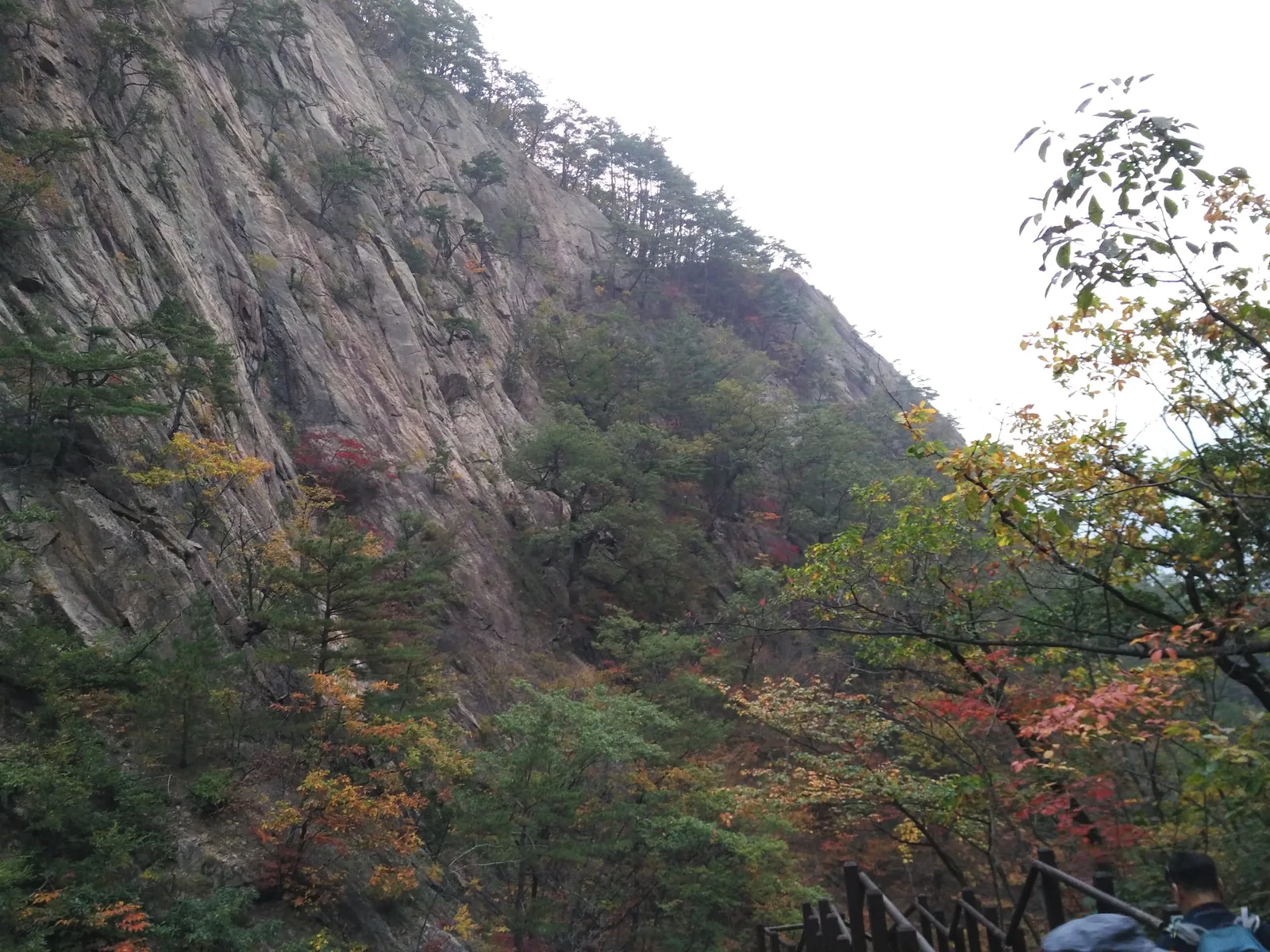 Photo from 20 October 2016