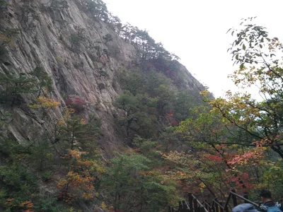 Photo from 20 October 2016