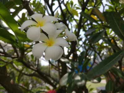 Quận Một, Vietnam — 22 November 2017