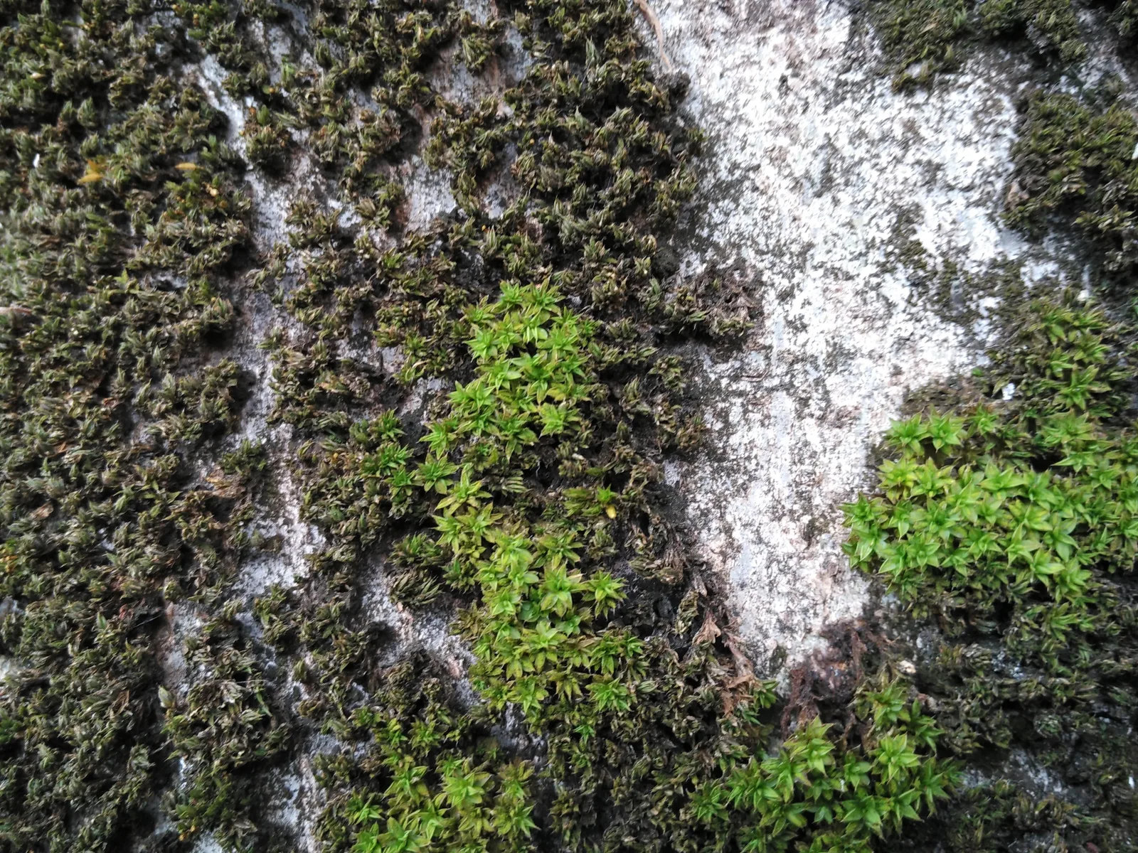 Photo from 12 June 2016