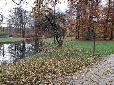 Munich, Germany — 11 November 2018