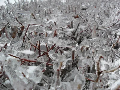 Photo from 26 December 2010