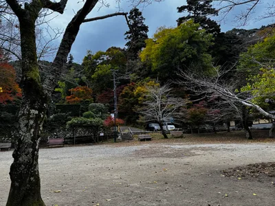 Minoh, Japan — 26 November 2024