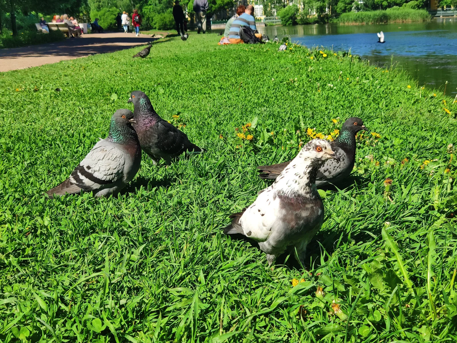 Photo from 1 June 2019