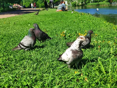 Photo from 1 June 2019