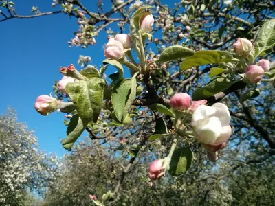 Photo from 9 May 2014