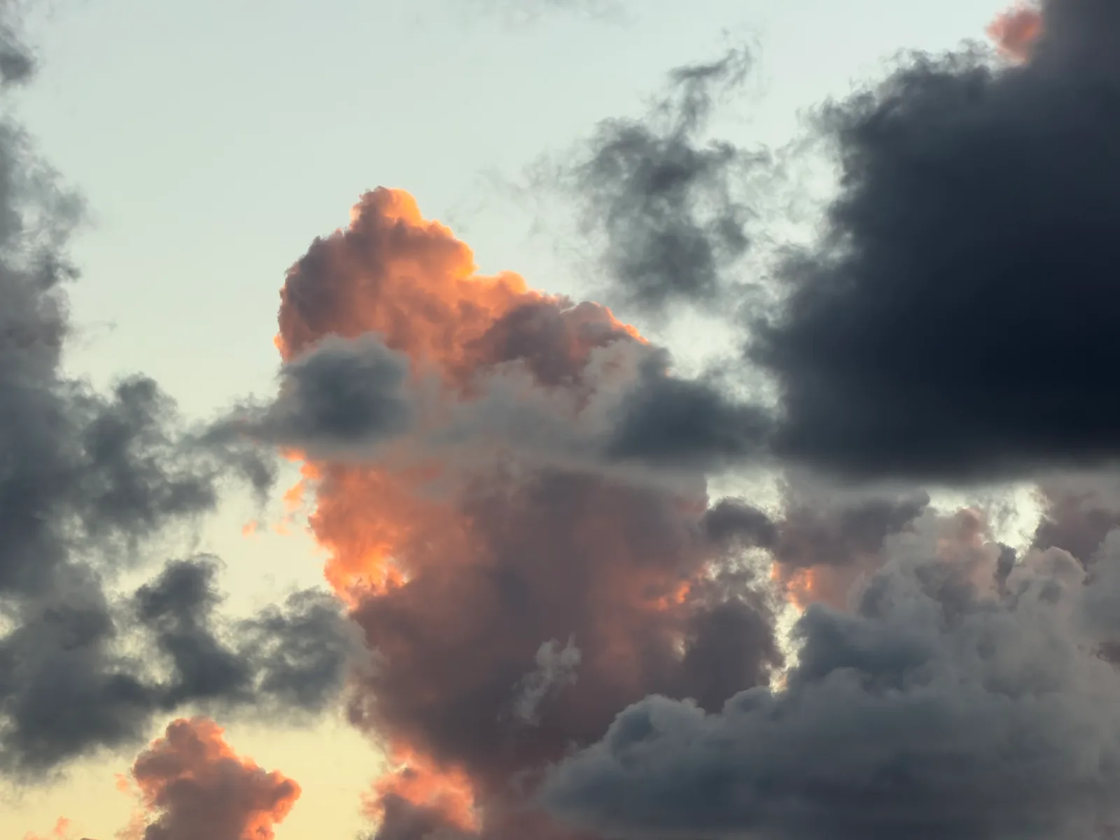 Paphos, Cyprus — 30 November 2025