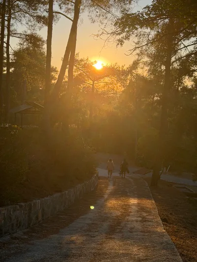 Peléndri, Cyprus — 23 August 2026