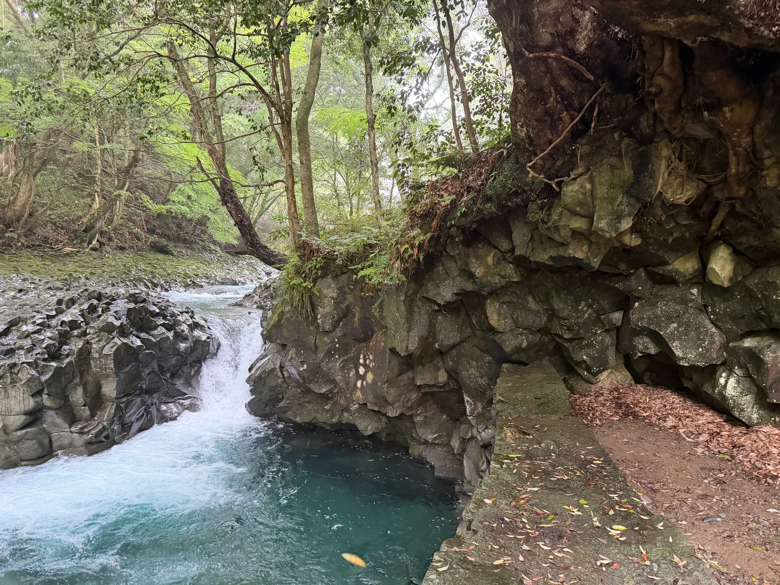 Kawazu-ikadaba, Japan — 20 June 2026
