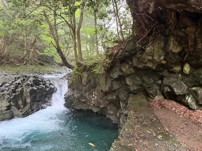Kawazu-ikadaba, Japan — 20 June 2026