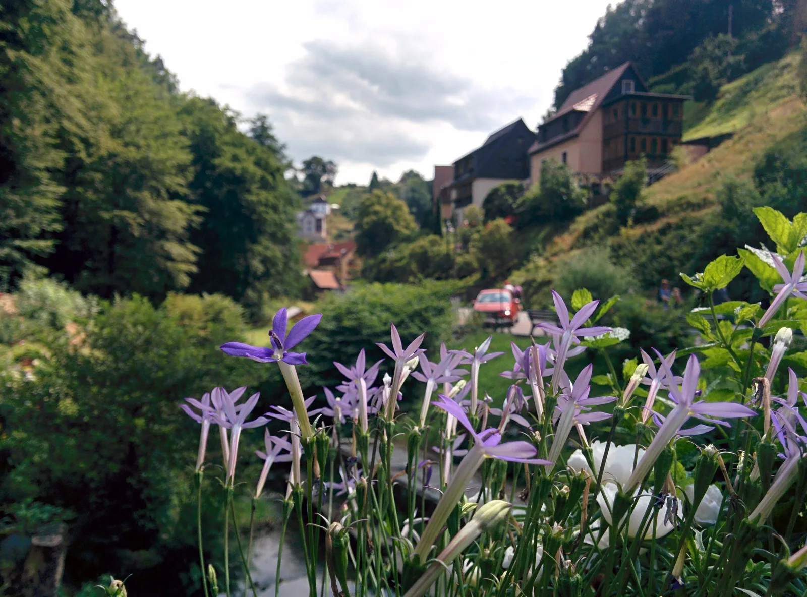 Photo from 23 July 2015
