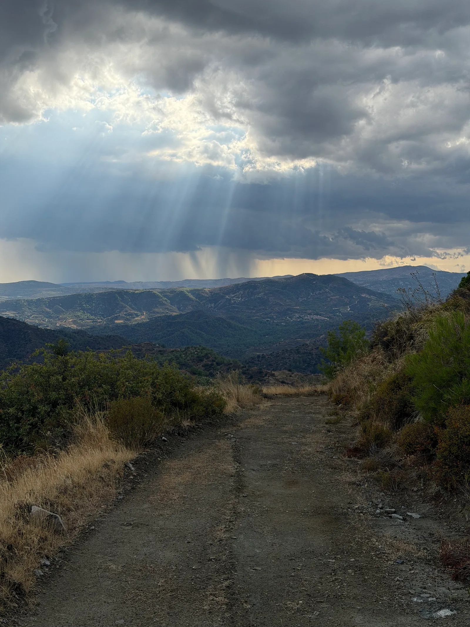 Peléndri, Cyprus — 29 August 2026