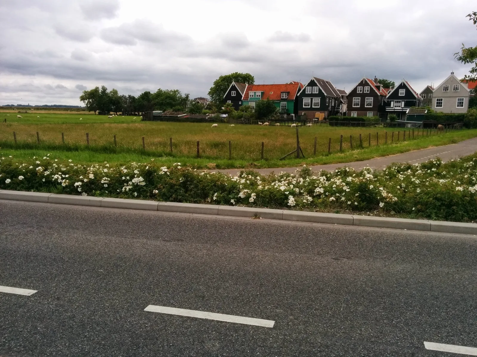 Photo from 16 June 2014