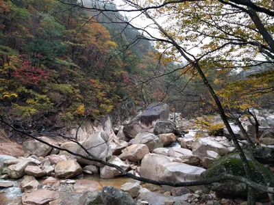Sokcho, South Korea — 21 October 2016