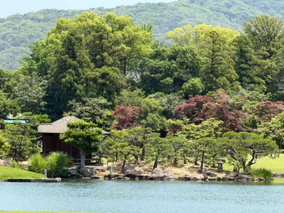 Okayama, Japan — 12 June 2026