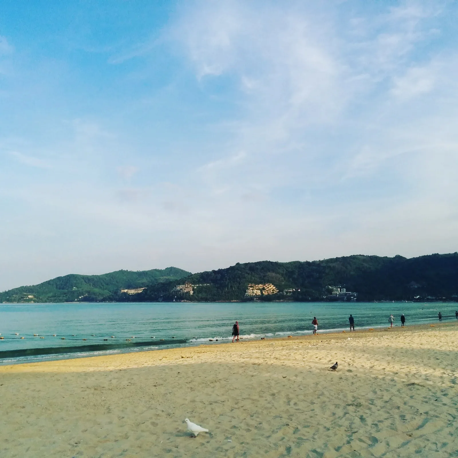 Photo from 2 February 2016