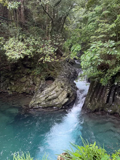 Kawazu-ikadaba, Japan — 20 June 2026