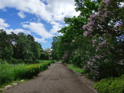 Photo from 15 June 2019