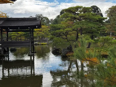 Kamigyō-ku, Japan — 24 November 2024