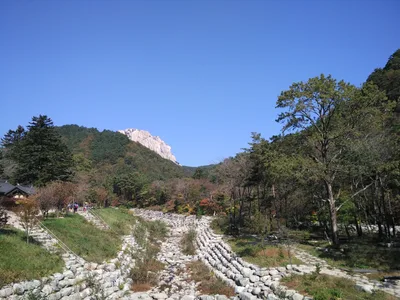Sokcho, South Korea — 19 October 2016