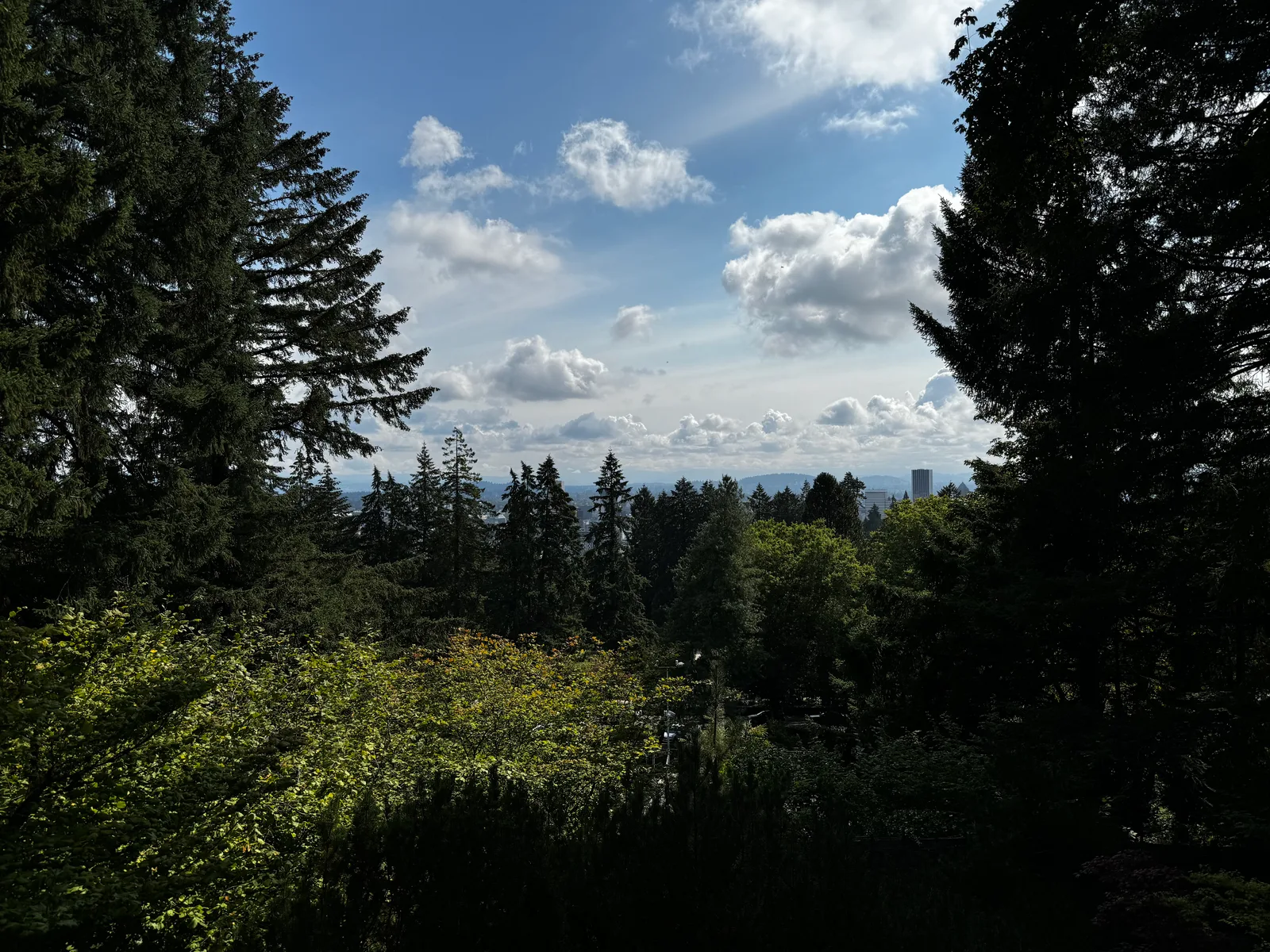 Portland, United States — 24 August 2024