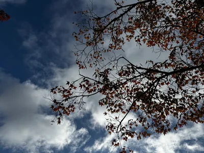 Kamigyō-ku, Japan — 24 November 2024