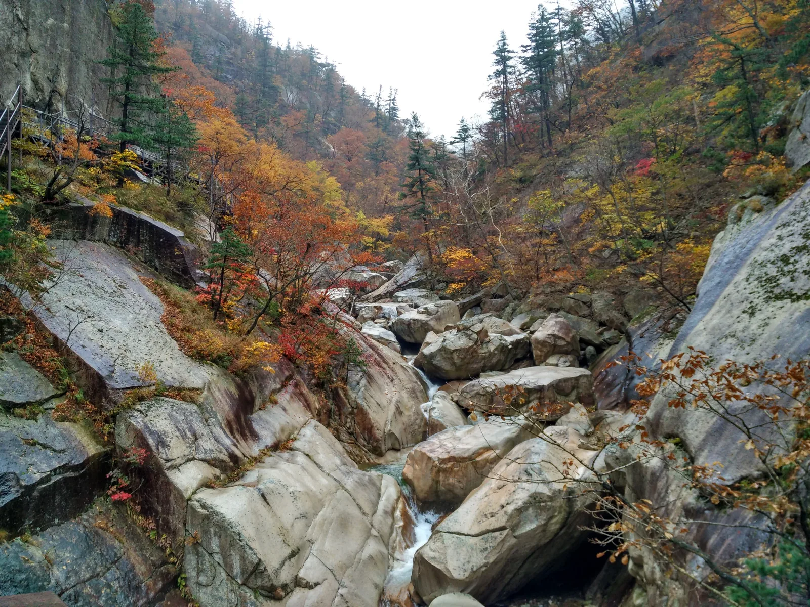 Sokcho, South Korea — 21 October 2016