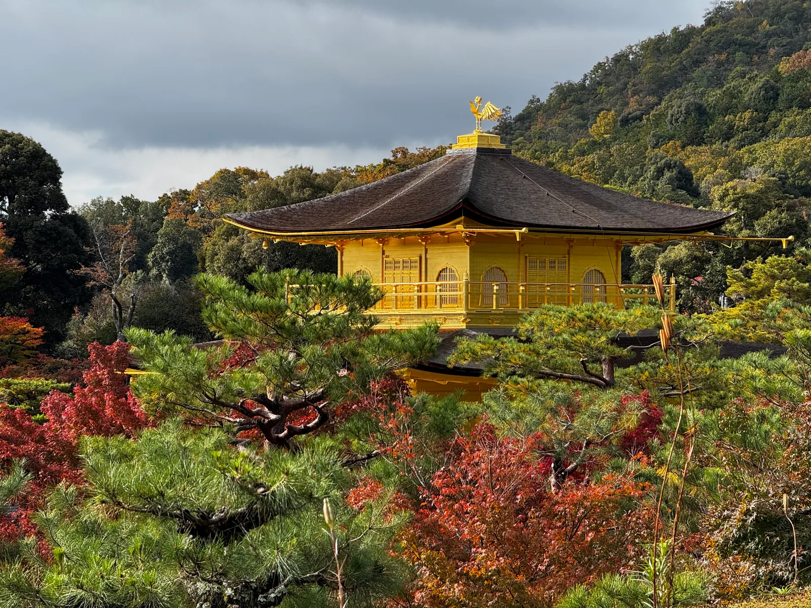 Kamigyō-ku, Japan — 24 November 2024