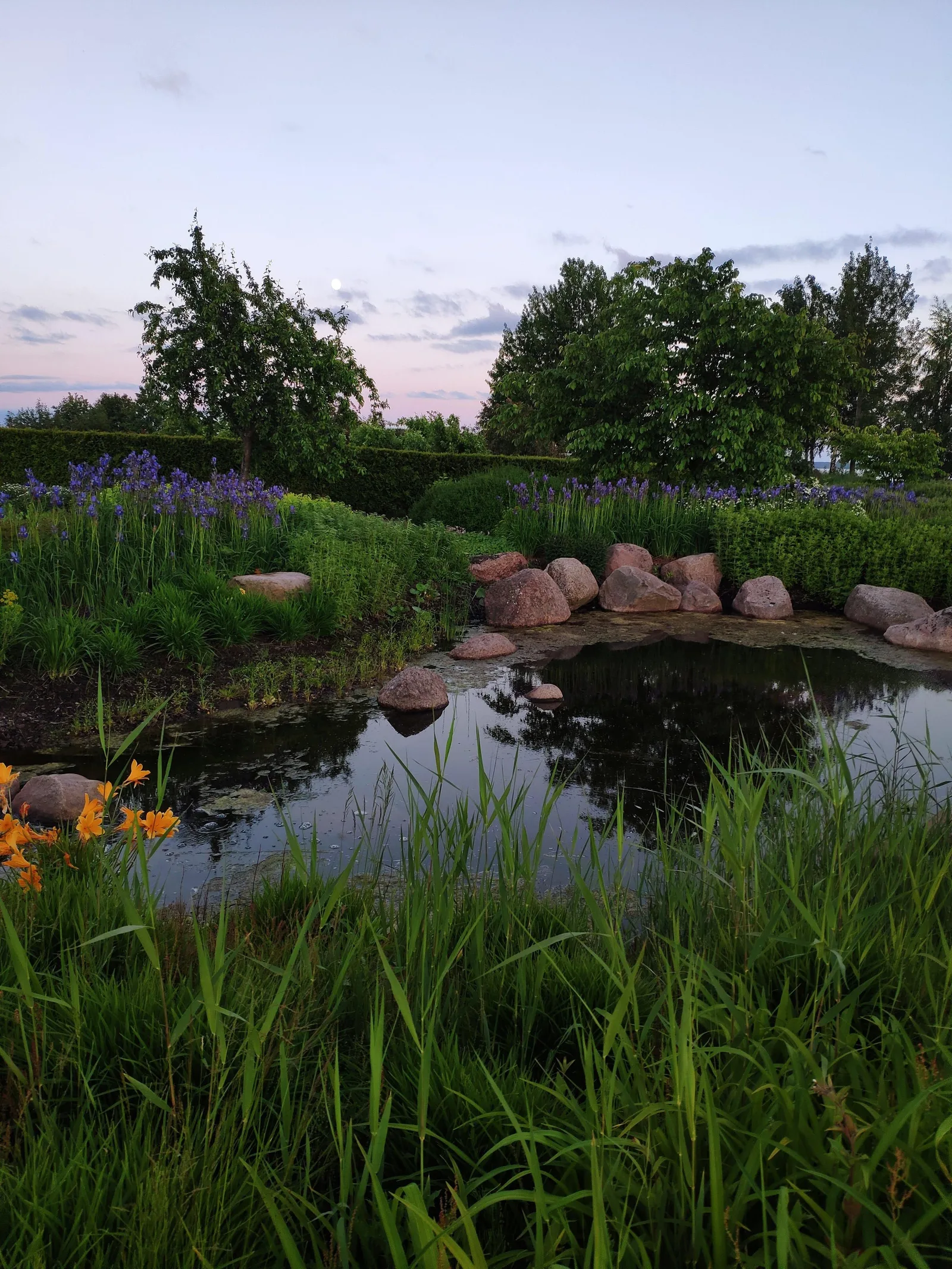 Photo from 15 June 2019