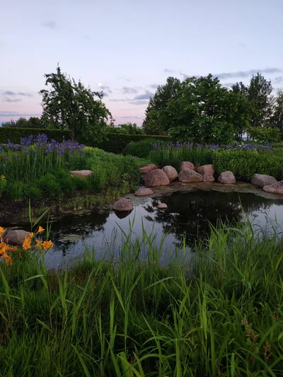 Photo from 15 June 2019