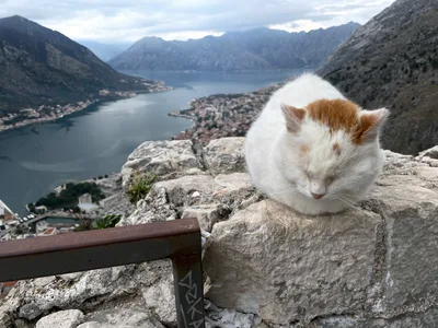 Kotor, Montenegro — 3 January 2022