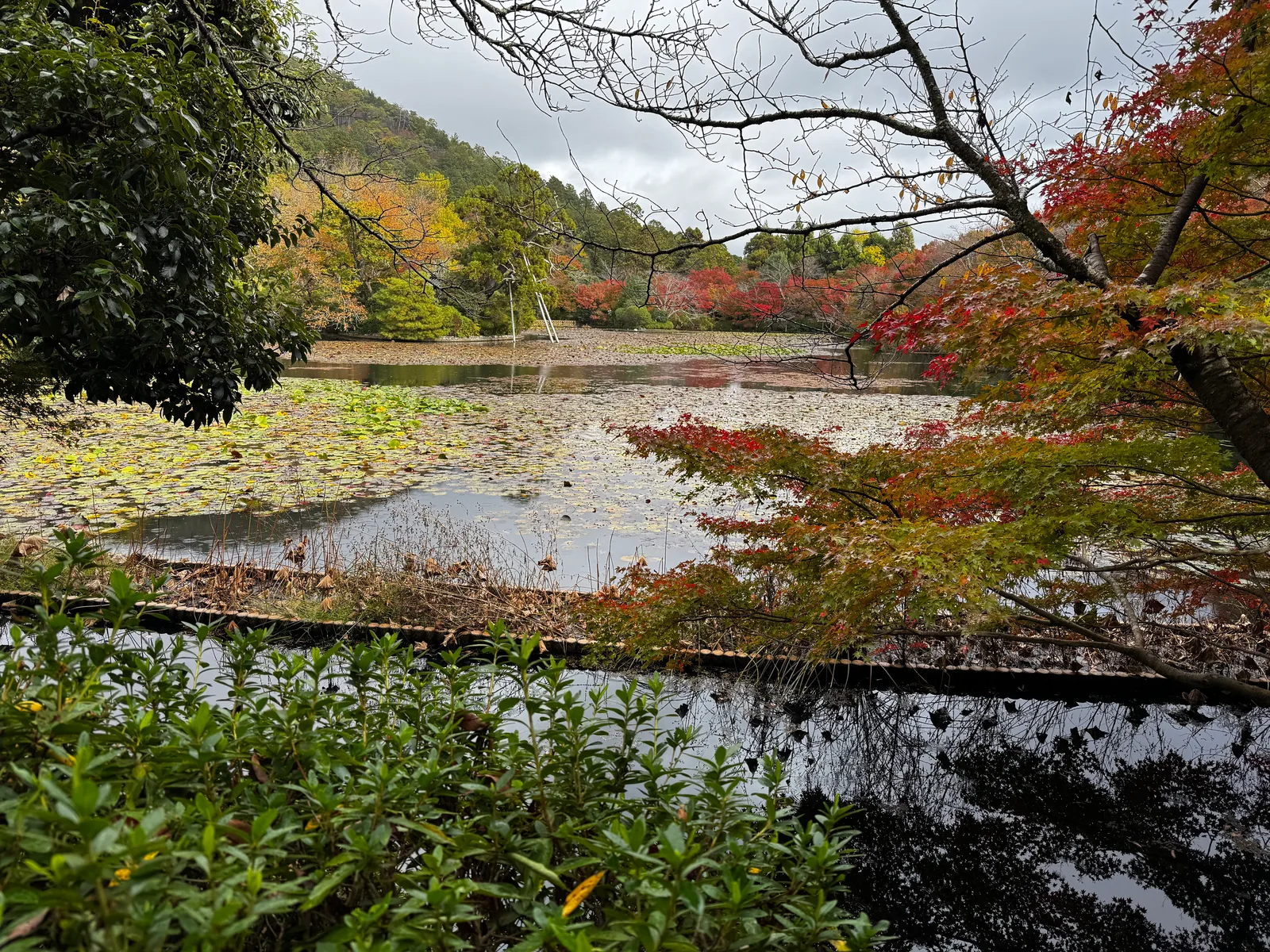 Kyoto, Japan — 24 November 2024