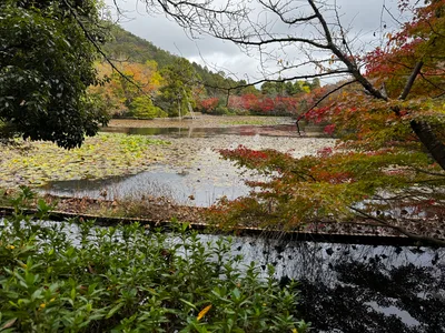 Kyoto, Japan — 24 November 2024