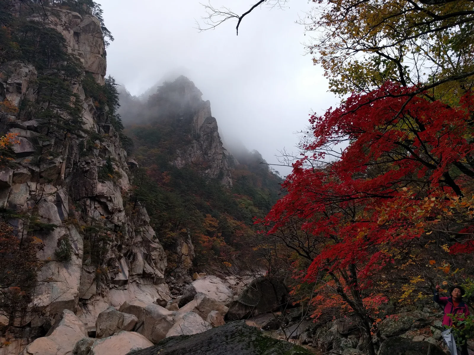 Sokcho, South Korea — 21 October 2016