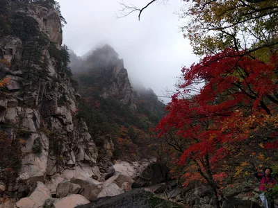 Sokcho, South Korea — 21 October 2016