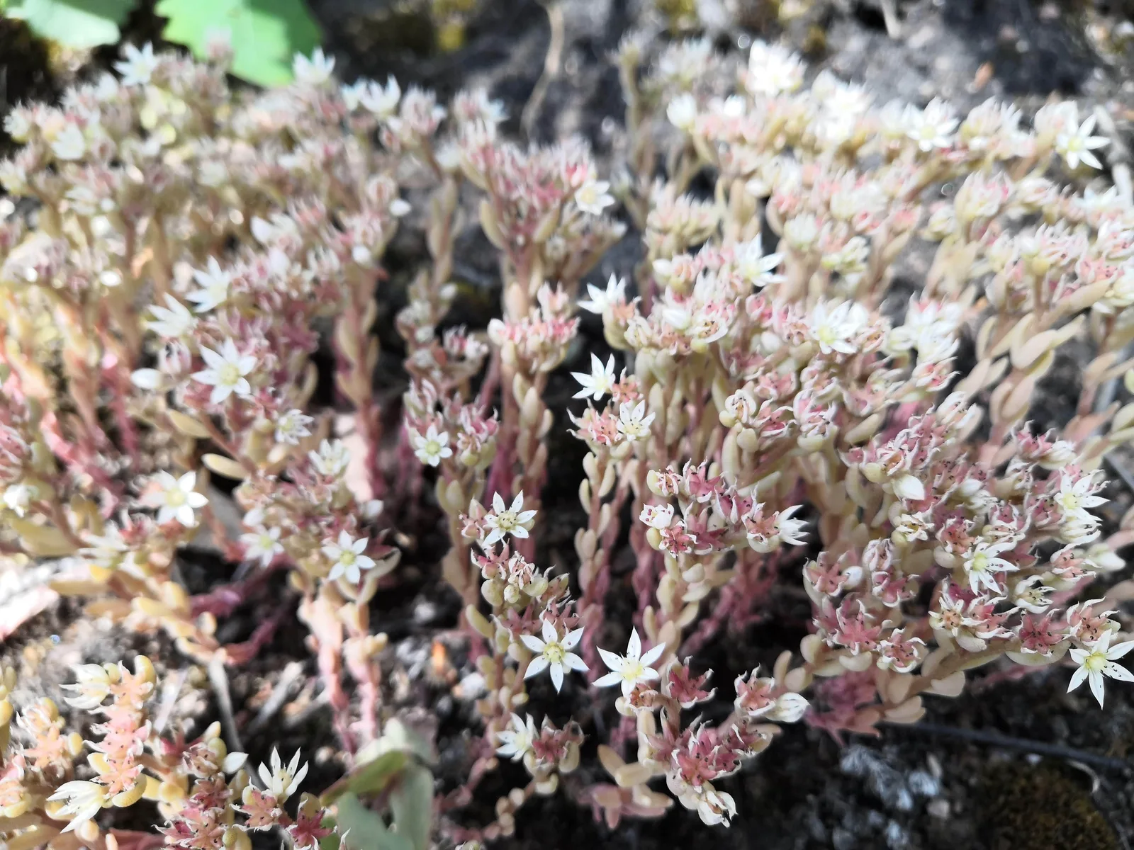 Photo from 15 June 2019