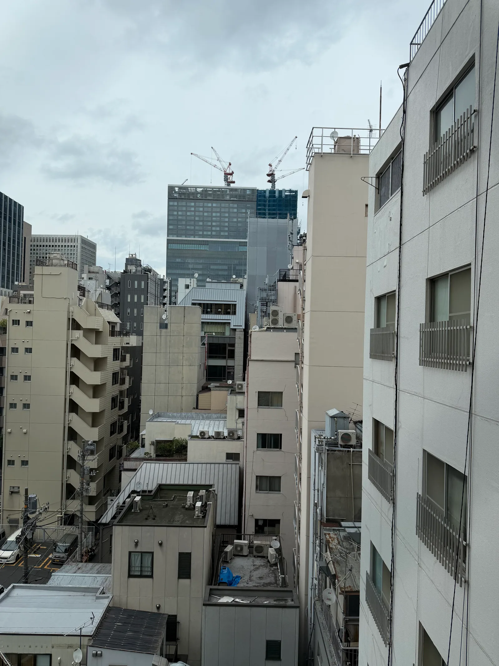 Ginza, Japan — 23 June 2026