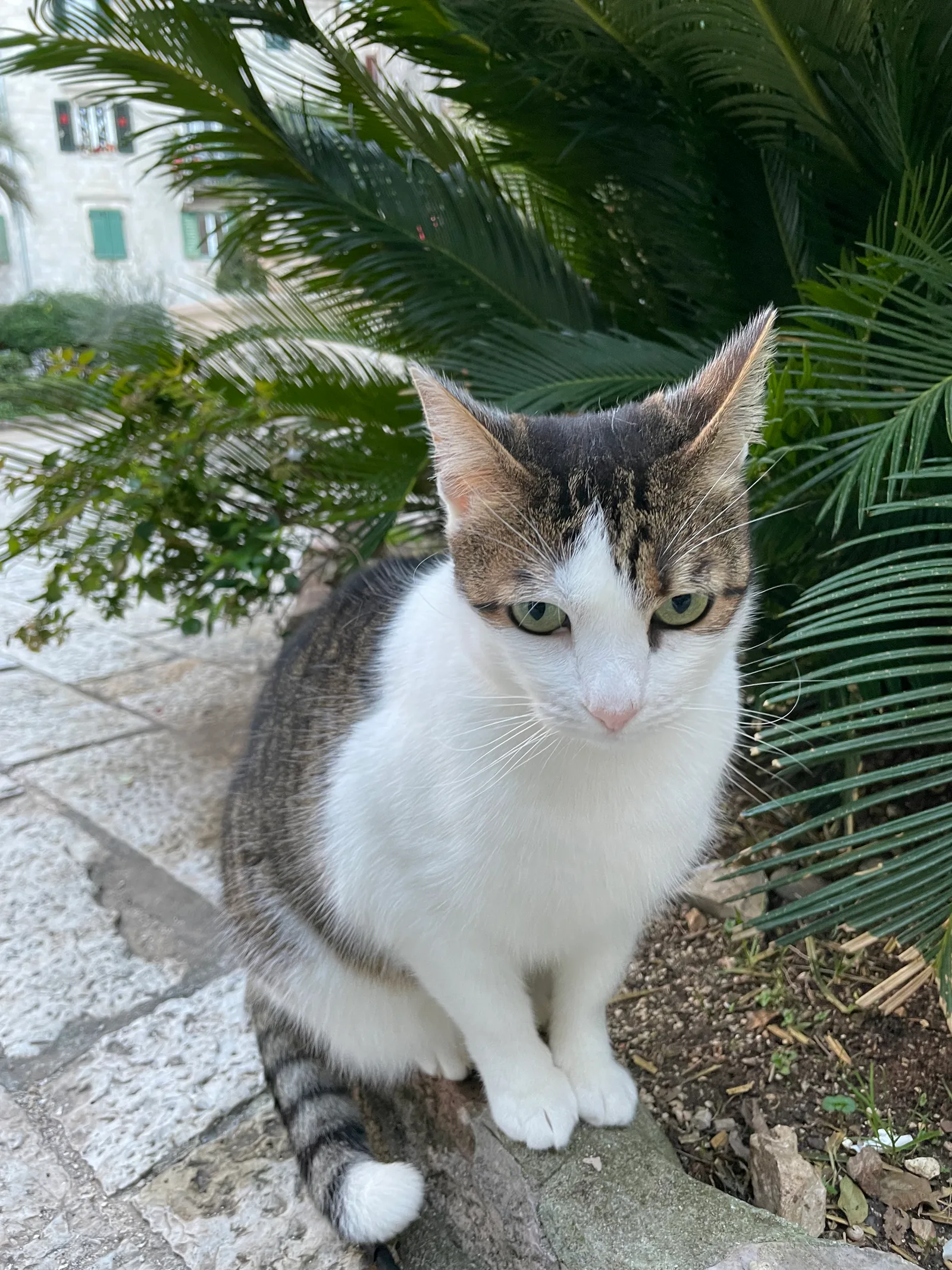 Kotor, Montenegro — 2 January 2022