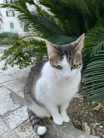 Kotor, Montenegro — 2 January 2022