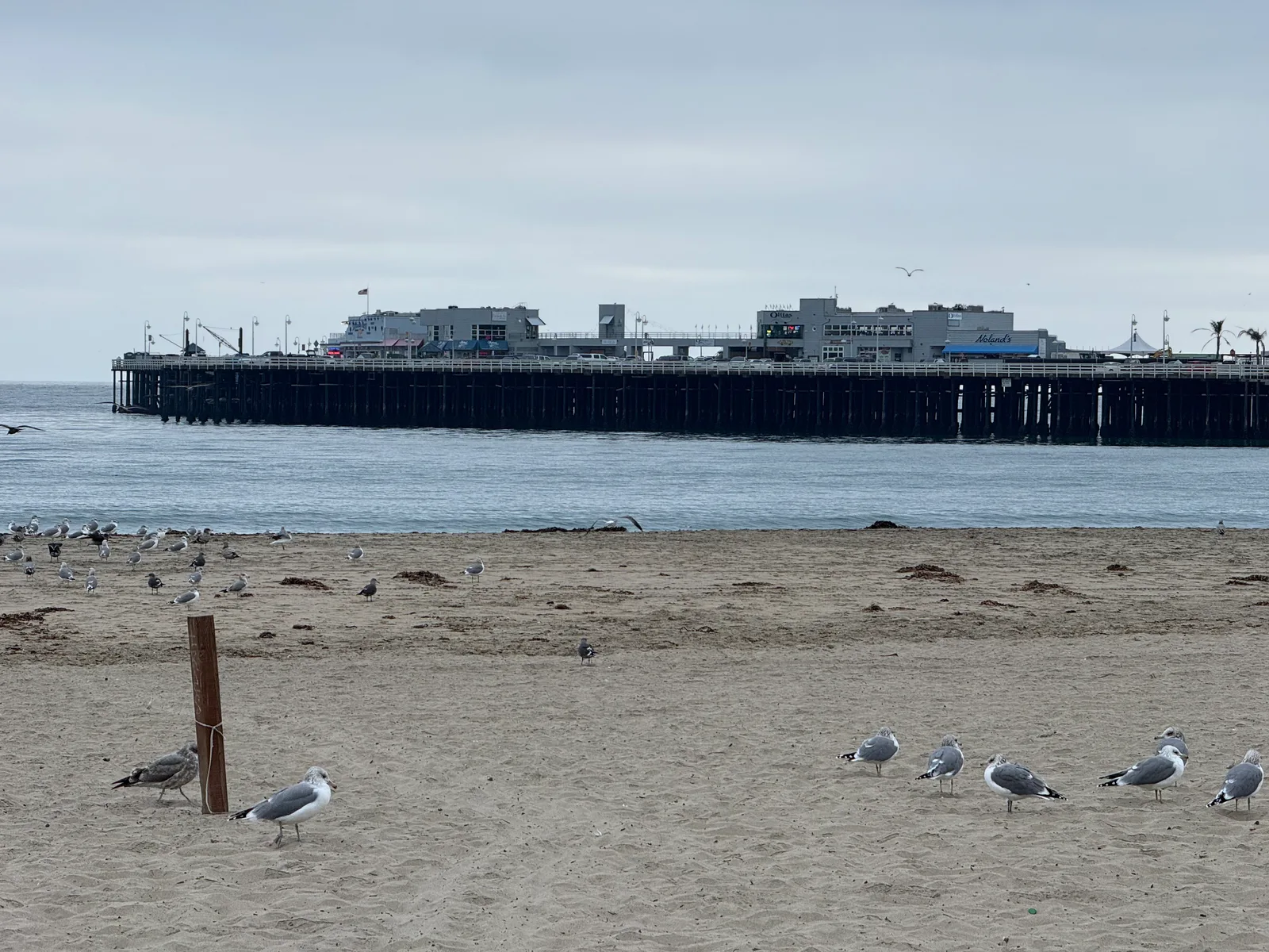 Santa Cruz, United States — 21 October 2025