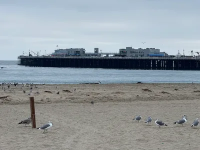 Santa Cruz, United States — 21 October 2025