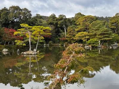 Kamigyō-ku, Japan — 24 November 2024