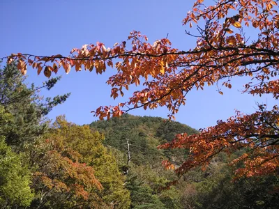 Sokcho, South Korea — 19 October 2016