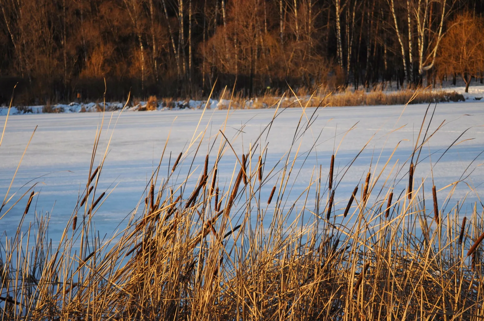 Photo from 15 December 2013