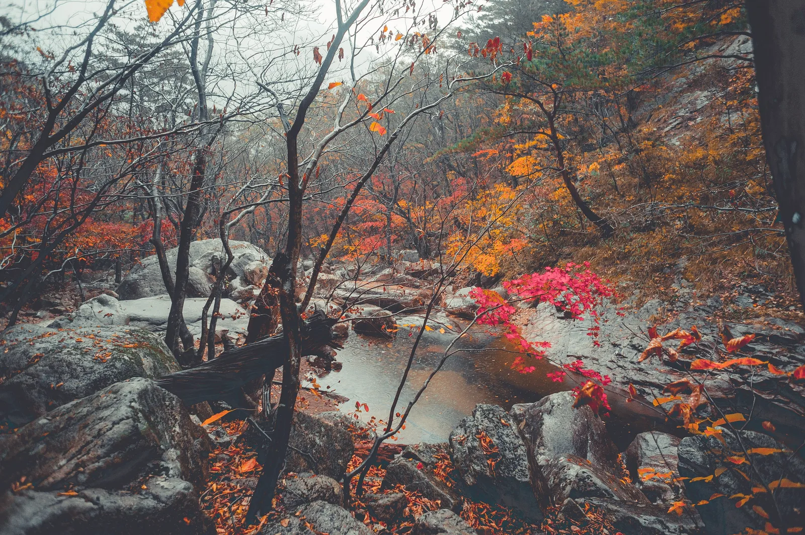 Photo from 20 October 2016