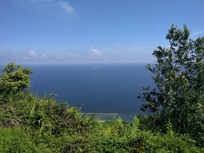 Photo from 13 June 2016