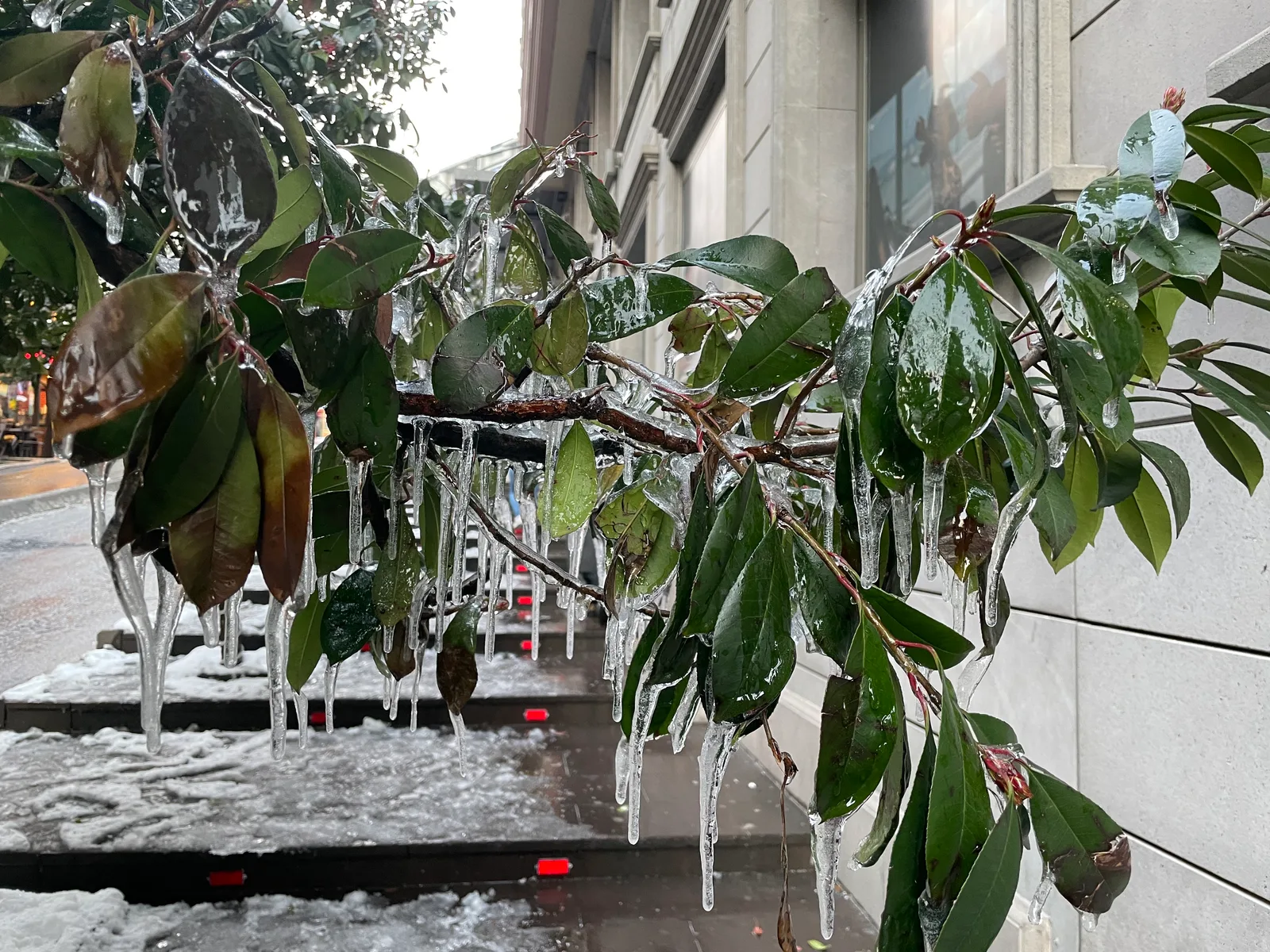 Şişli, Turkey — 11 March 2022