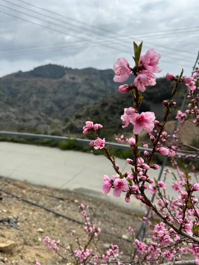 Klírou, Cyprus — 25 March 2023