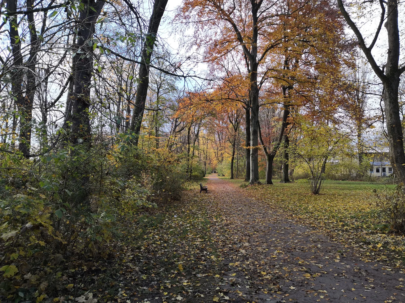 Photo from 11 November 2018